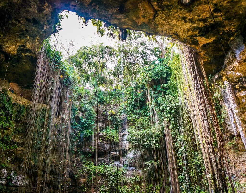 mejores cenotes en la Riviera Maya