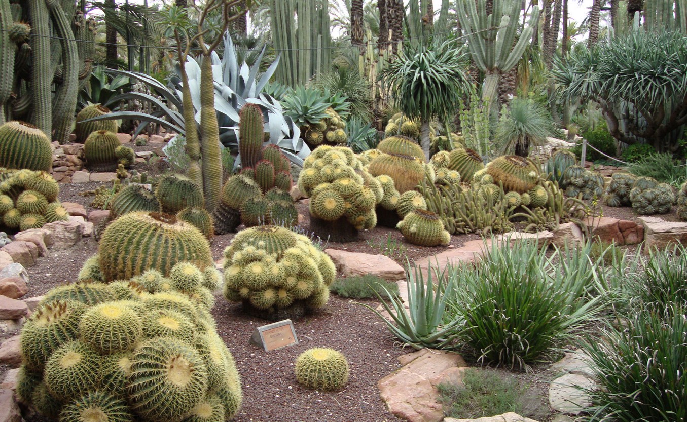Jardines Botanicos de Acapulco
