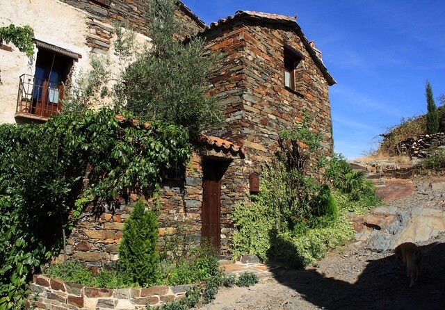 que ver en patones de arriba