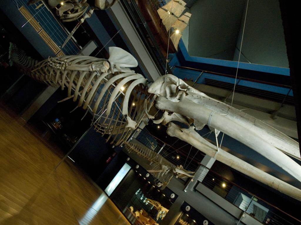 Museo Marítimo del Cantábrico