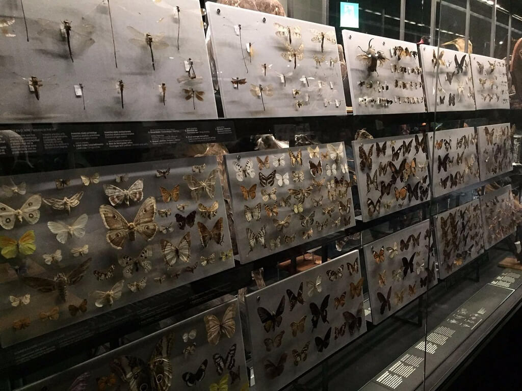 museo ciencias naturales barcelona