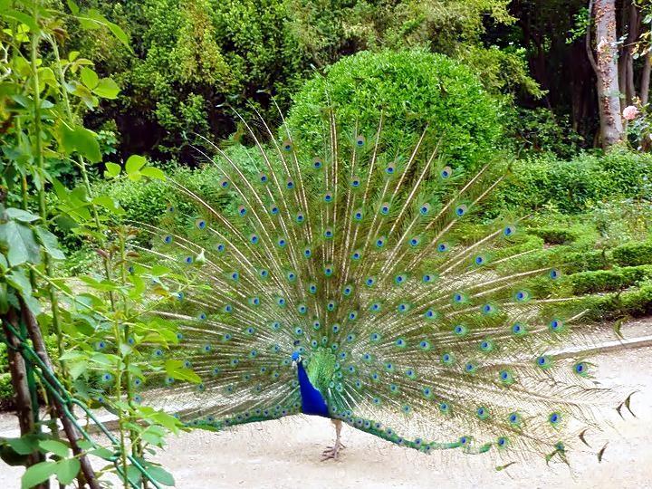 Valladolid con ninos parque campo grande