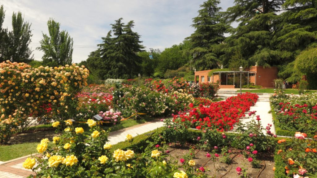 Valladolid jardines de la rosaleda