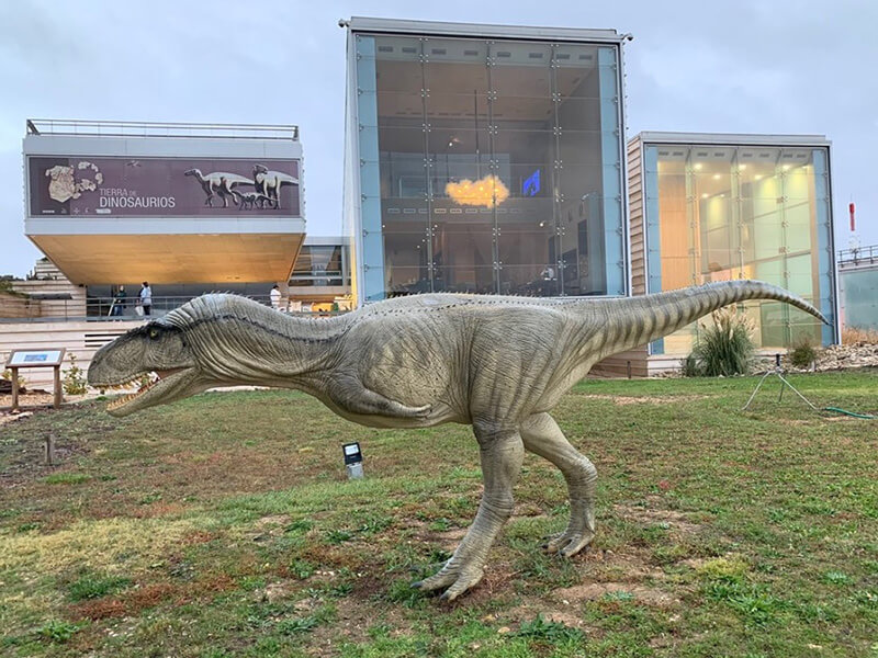 El Museo de Paleontología de Castilla-La Mancha, Cuenca