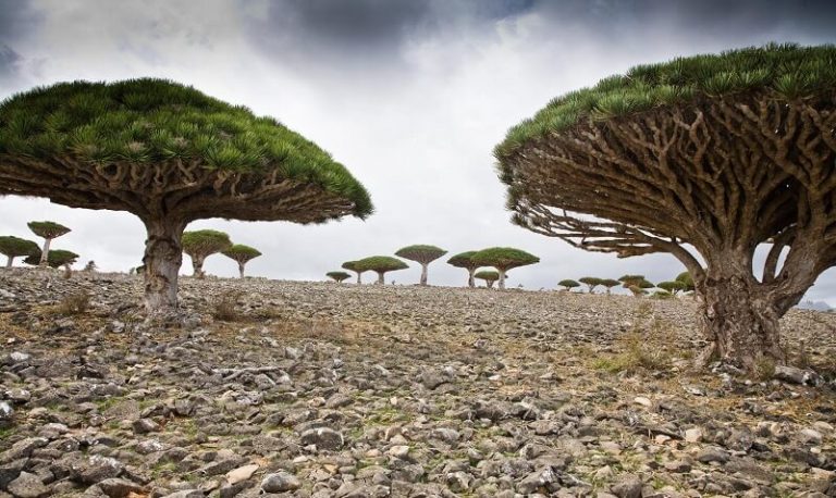 Las islas mas raras y misteriosas del mundo