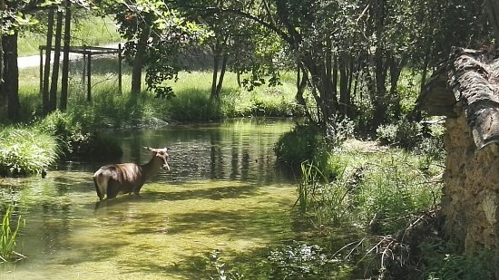 parque el hosquillo cuenca