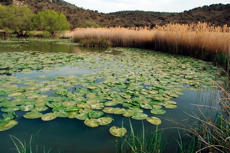 Laguna de Arquillo