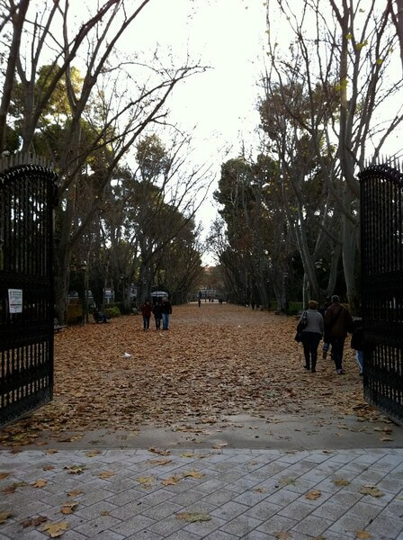 Parque Abelardo Sánchez