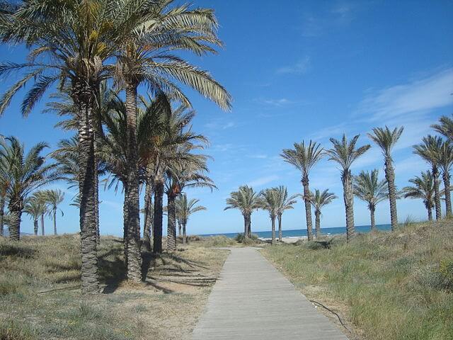 Playa Del Pinar