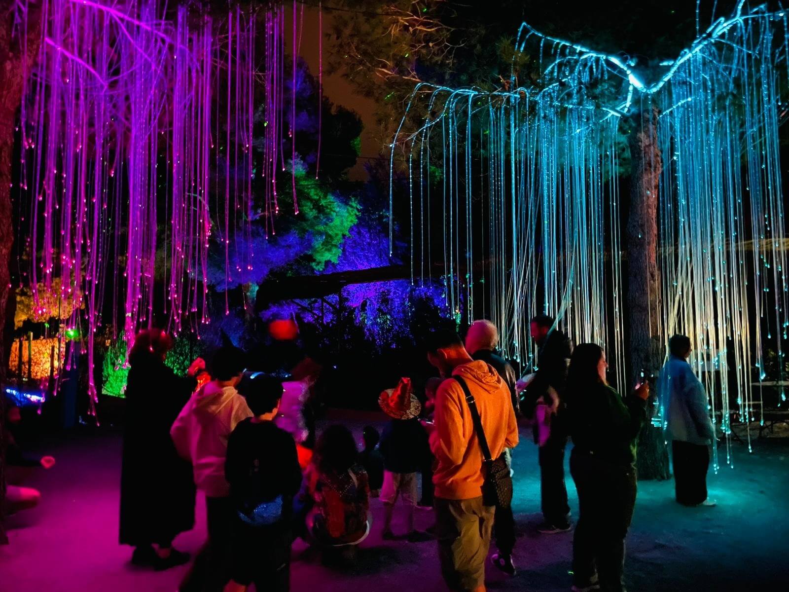 Bibo Park Ibiza