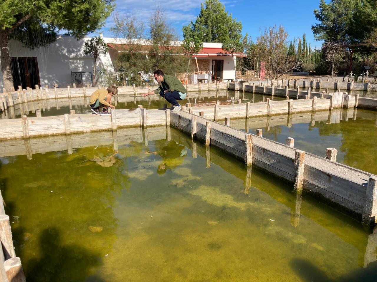 Bibo park