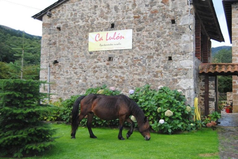 Casas rurales con granja para ir con niños