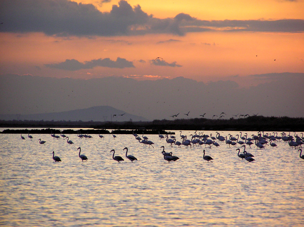 Salinas de Santa Pola Alicante