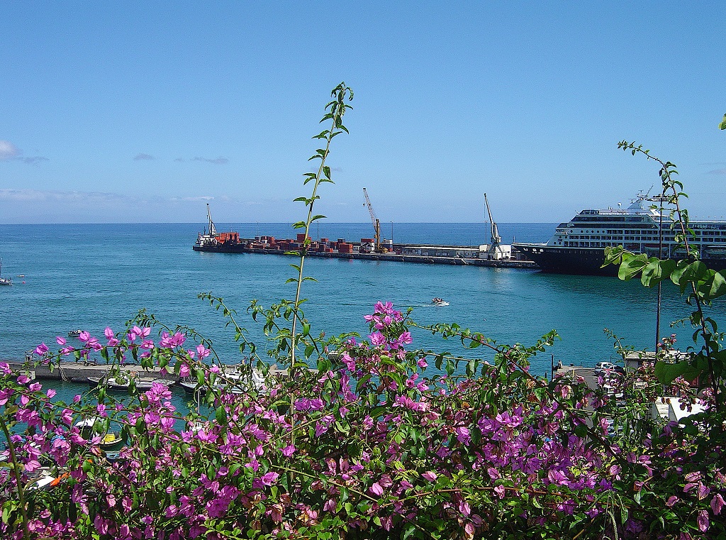 Que ver en Funchal en un día de crucero