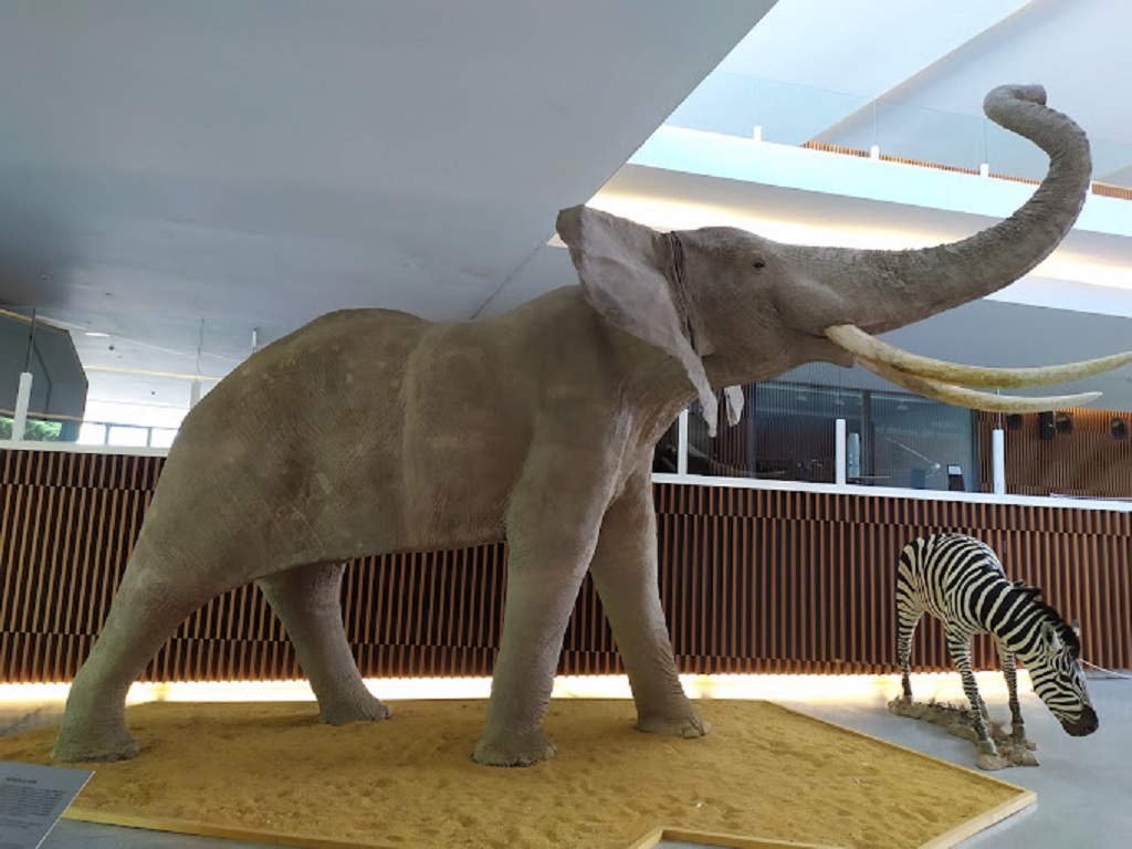 Elefante en el Parque de las Ciencias de Granada