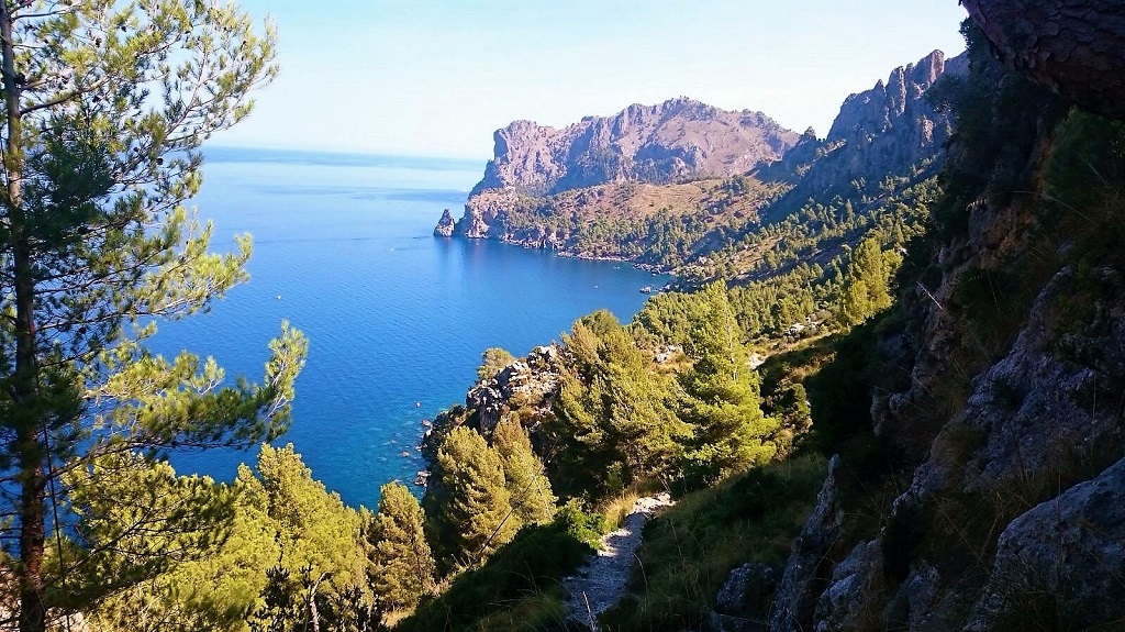 Sóller