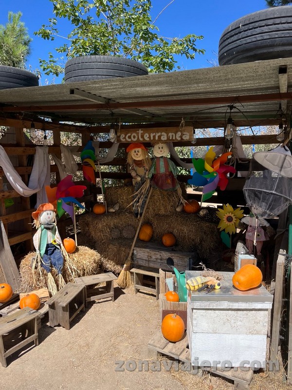Pumpkin Experience de Ecoterranea