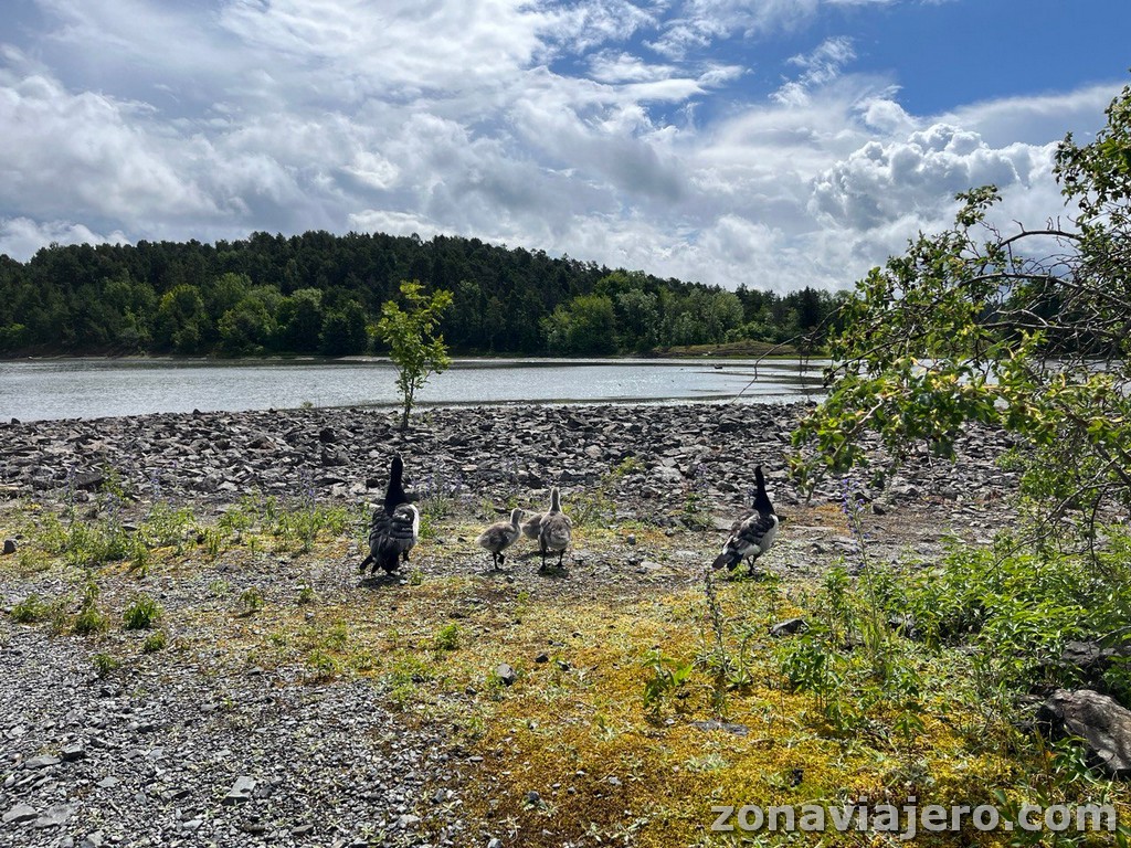 Gressholmen reserva natural