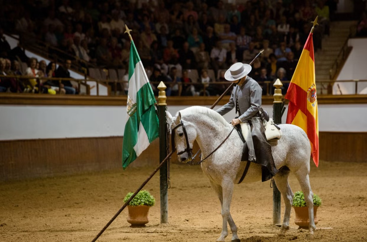 espectaculo ecuestre