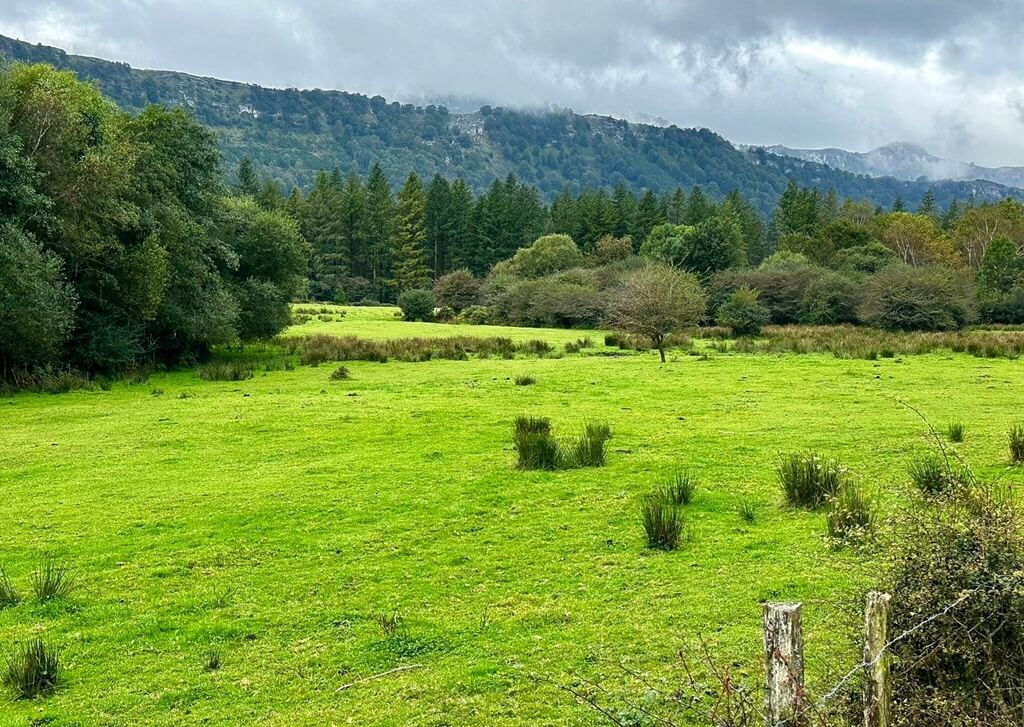 Parque Natural de Gorbea