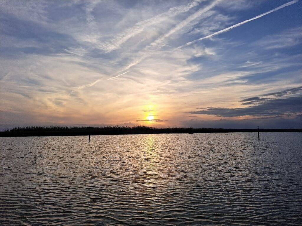 Paseo en barca por la Albufera