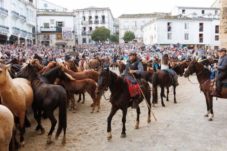 Bajada de los caballos en Mondoñedo: tradición viva en As San Lucas