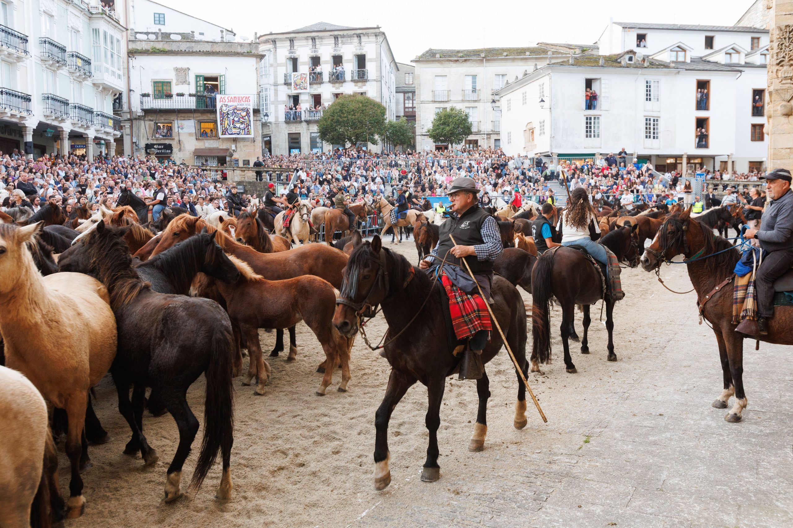 Bajada de los caballos en Mondoñedo: tradición viva en As San Lucas