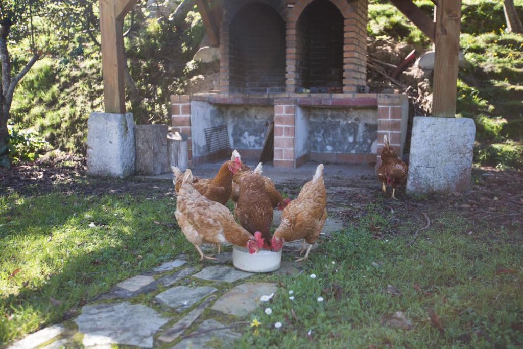 Casa Rural Andutza