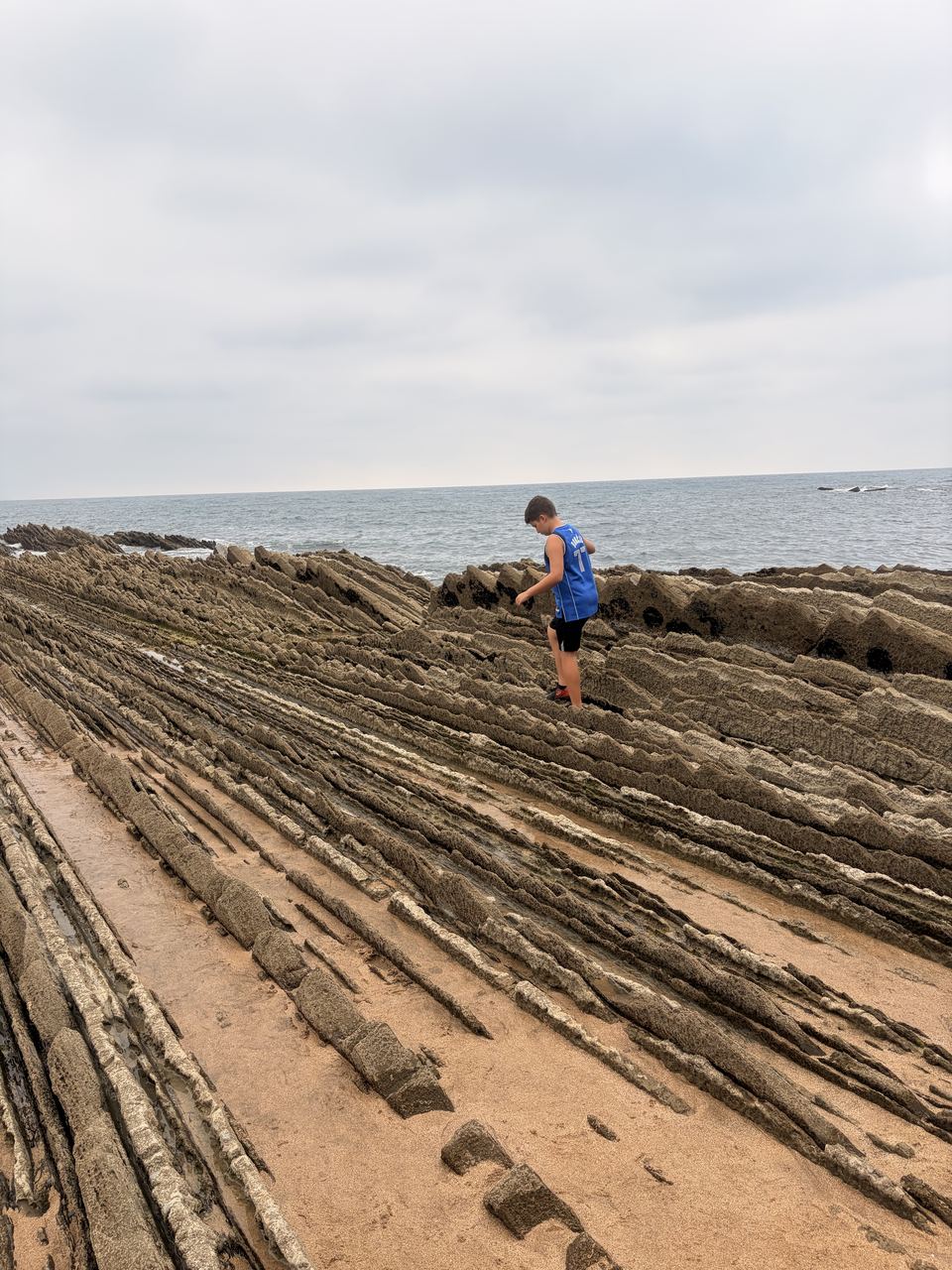 Explorando la rasa del flysch de Zumaia con la marea baja