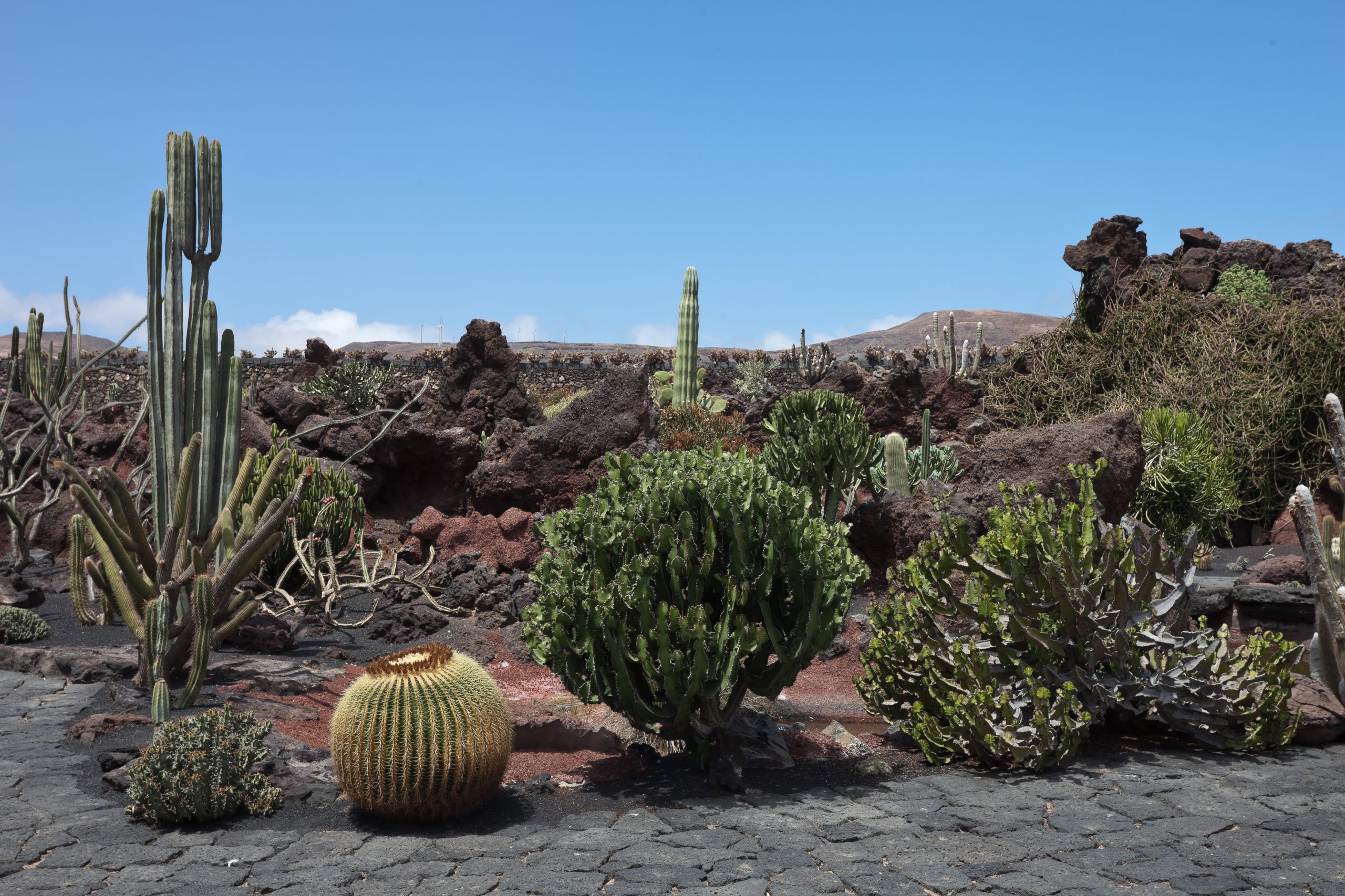 Jardín de Cactus de César Manrique en Guatiza, Lanzarote
