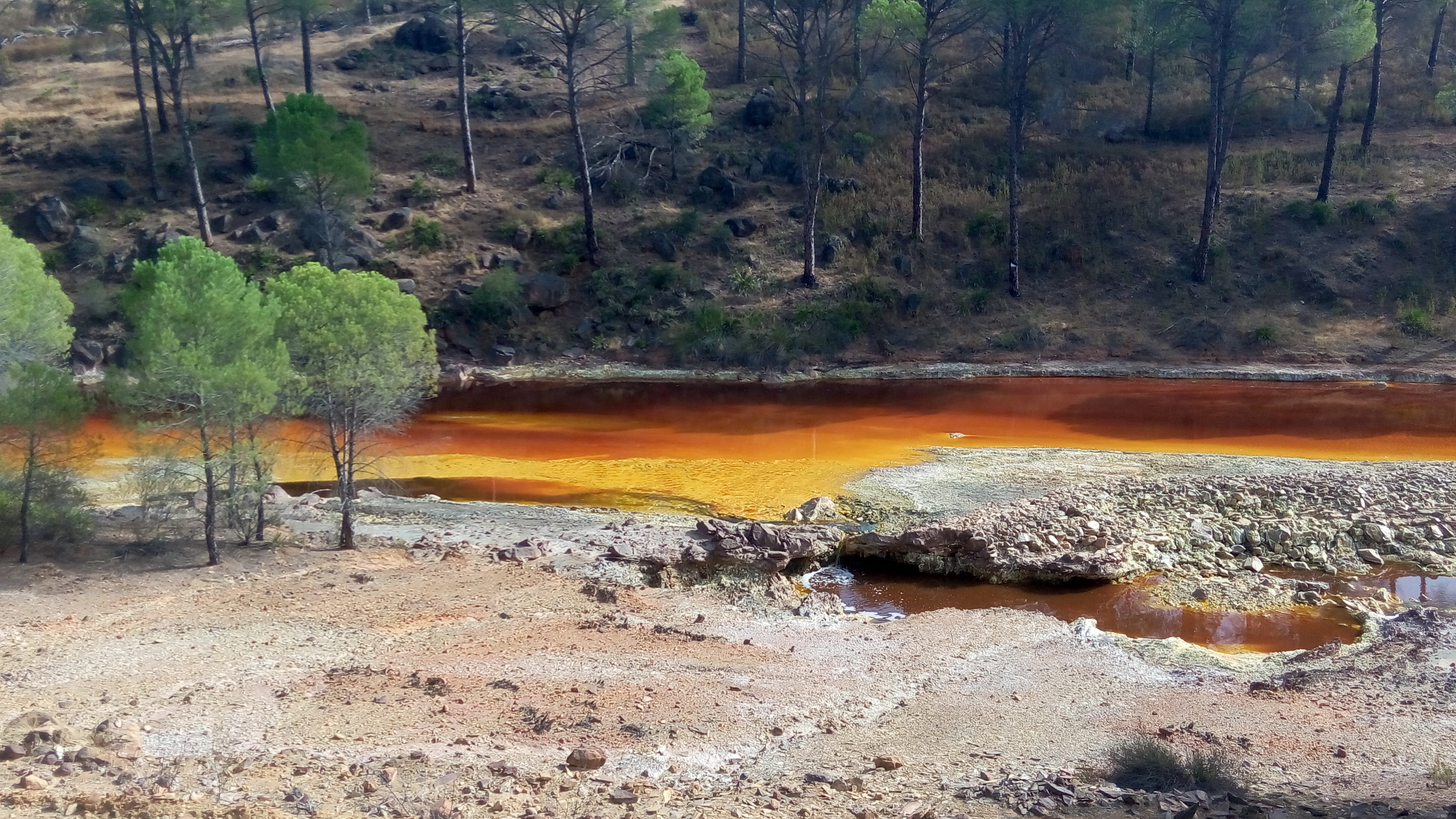 Aguas rojizas del Río Tinto entre pinares, en la provincia de Huelva