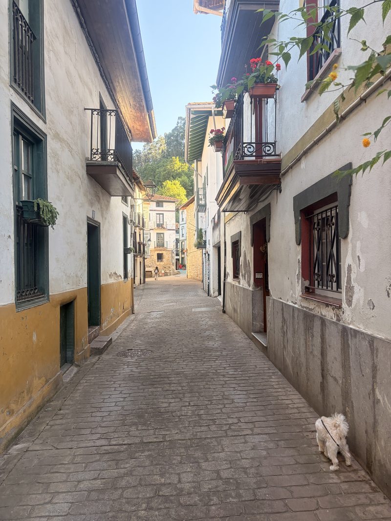 Calle empedrada del casco antiguo de Ea con balcones de madera y macetas de flores