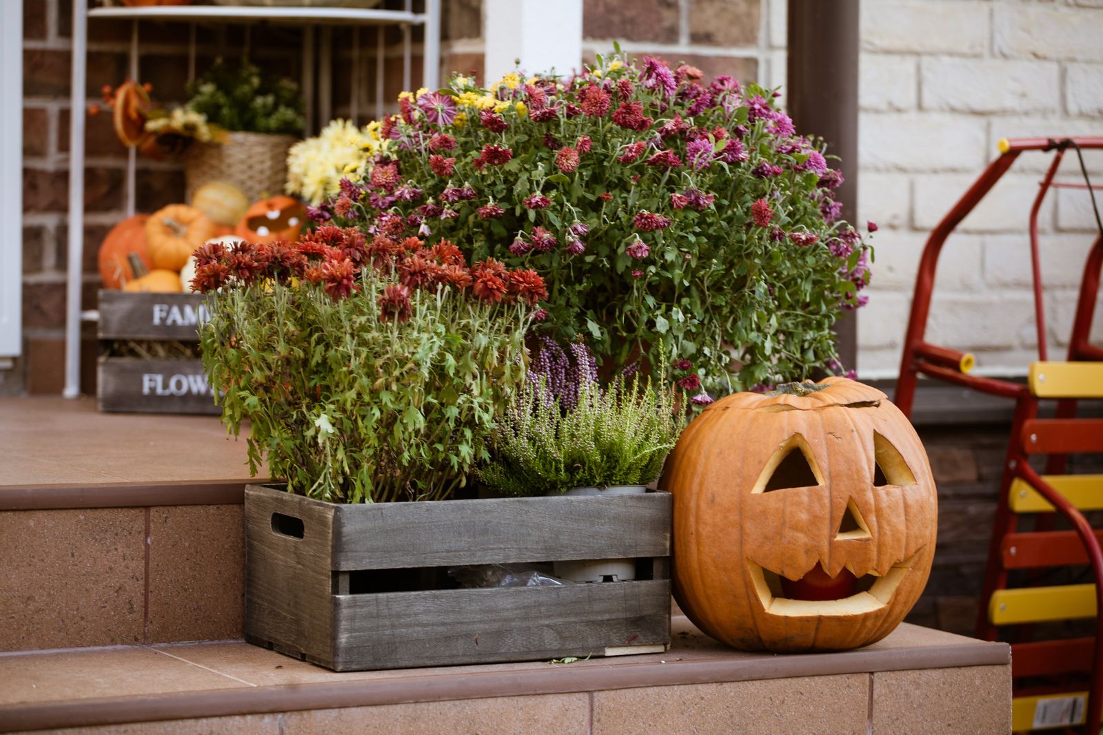 Calabaza de Halloween y flores de otoño, ambiente típico de Salem