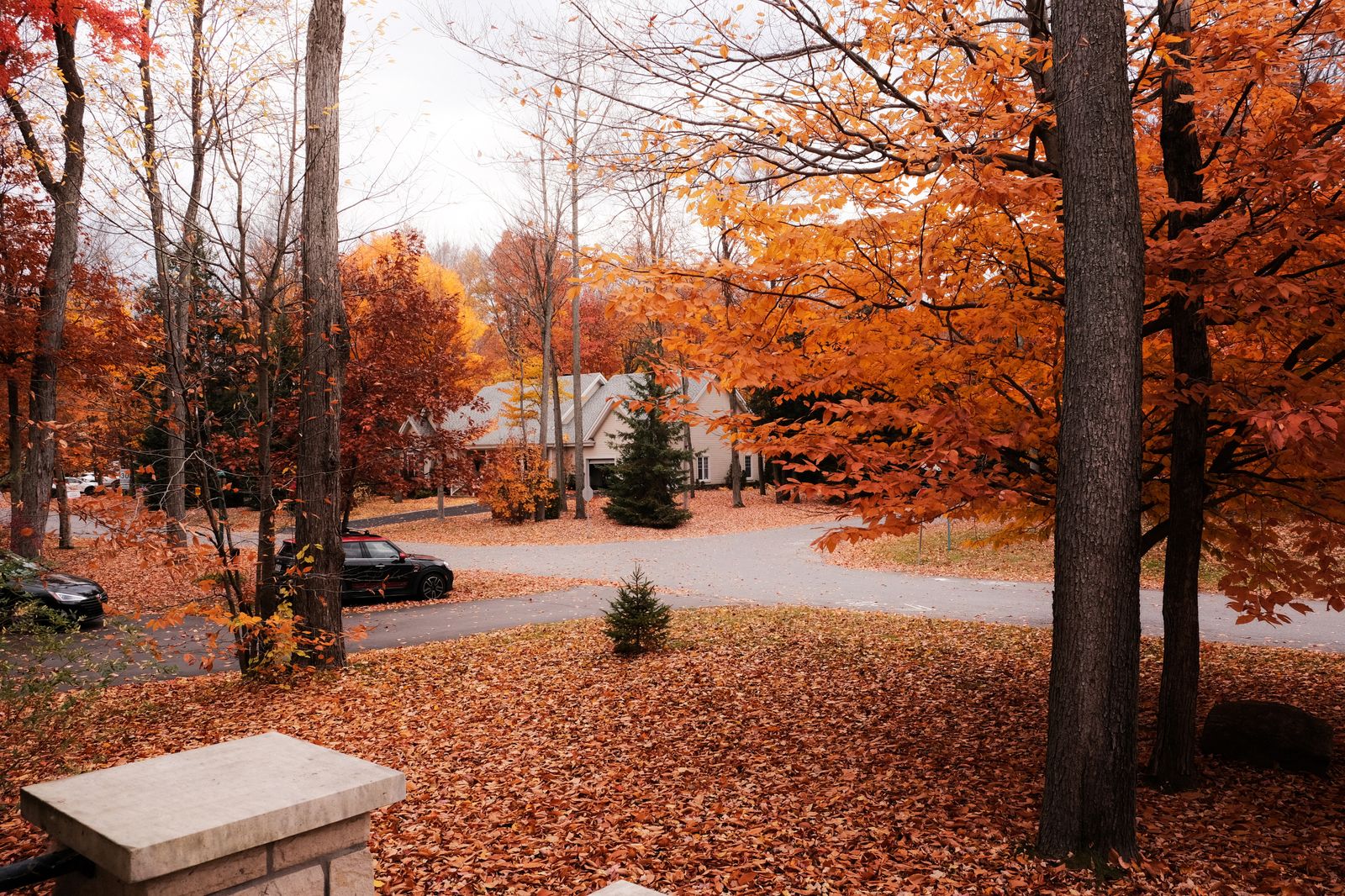 Bosque con hojas de otoño en el Valle del Hudson, cerca de Nueva York