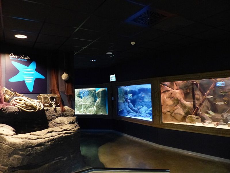 Interior del Acuario de Sevilla