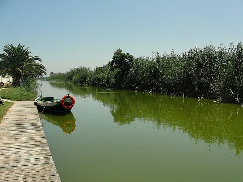 Paseo en barca por la Albufera en Devesa Gardens, Valencia