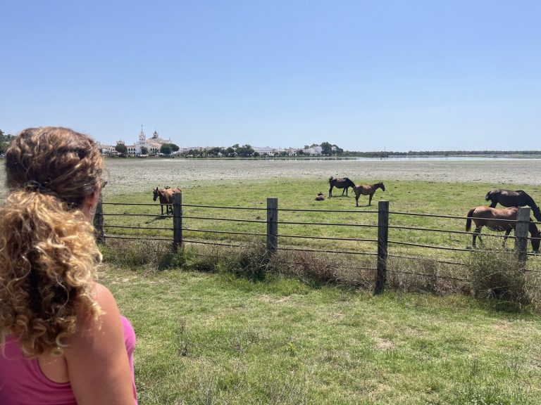 Vista de la marisma de El Rocío con caballos en libertad y la ermita al fondo