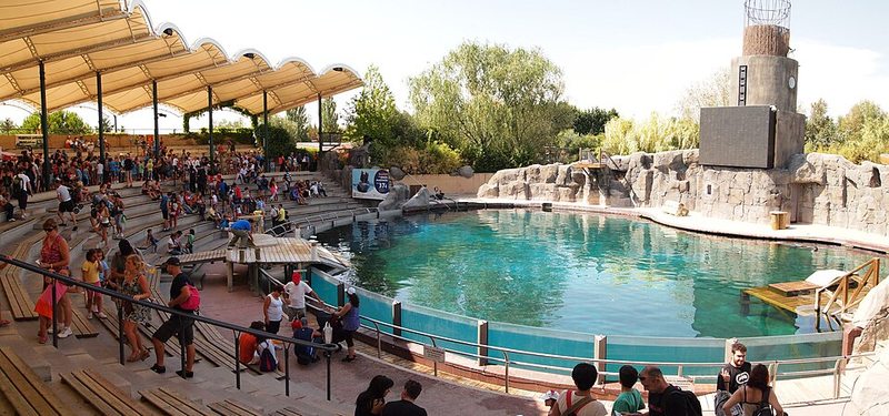 Piscina de espectáculos con leones marinos en Faunia, Madrid