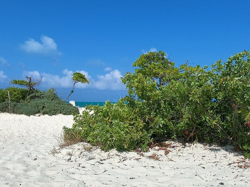 Playa virgen de Isla Blanca cerca de Cancún