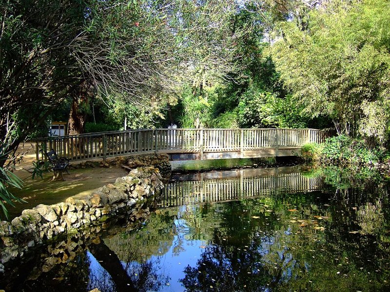 Puente de madera sobre un estanque en el Parque de María Luisa de Sevilla