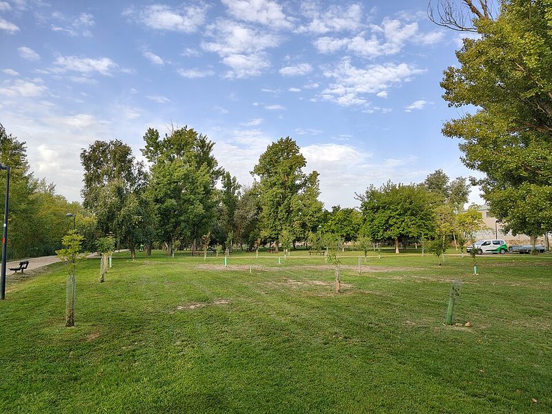 Parque de Tres Árboles junto al río Duero en Zamora, cerca del aparcamiento de la Ciudad Deportiva