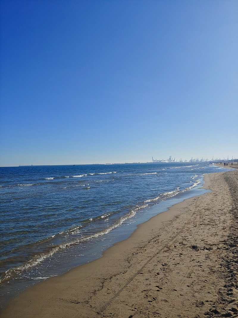 Playa de la Patacona con el puerto de Valencia al fondo
