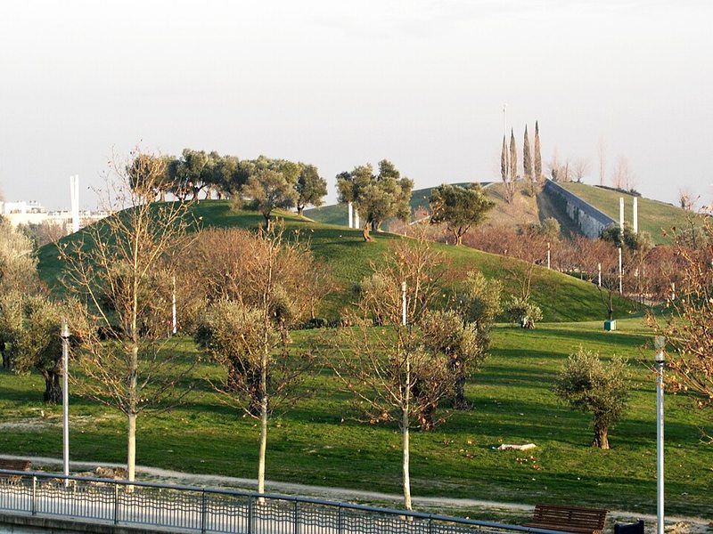 Colinas con olivos y zonas verdes del Parque Juan Carlos I en Madrid